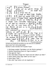 Tiger.pdf